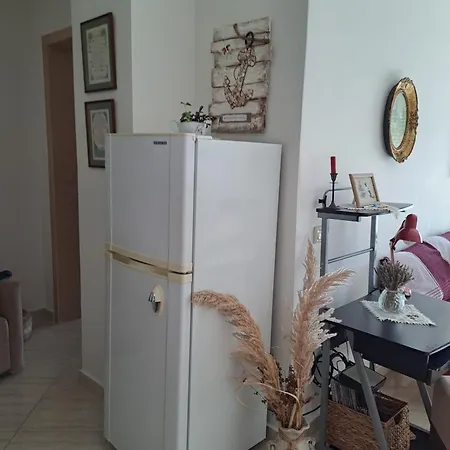 Studio Apartment Apartment