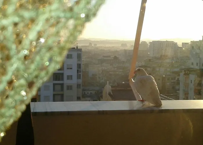 Apartament Studio Apartment