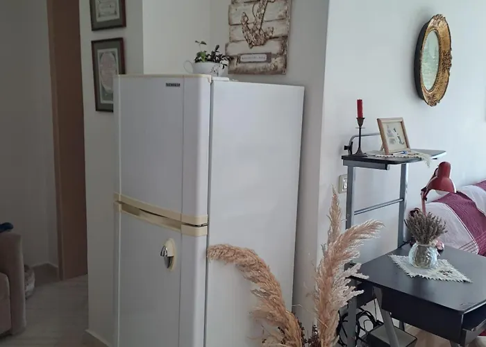 Studio Apartment Apartament